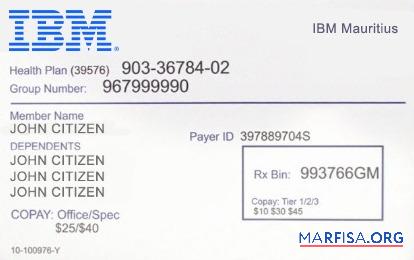 Realistic Mauritius health insurance card template